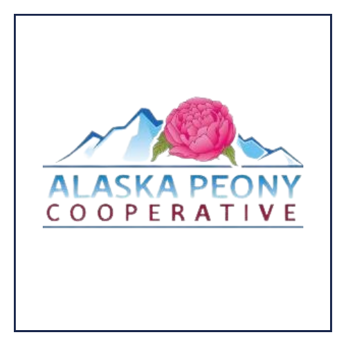 17-Dec-11-2025-02-32-10-1649-PM