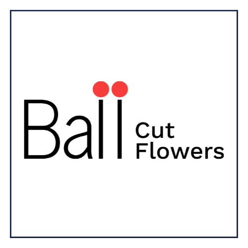 18-Dec-11-2025-02-28-26-3395-PM