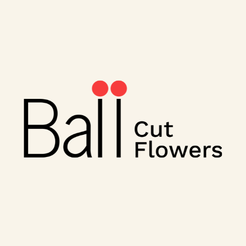 Partner Page Logos-Aug-25-2025-01-41-28-4668-PM