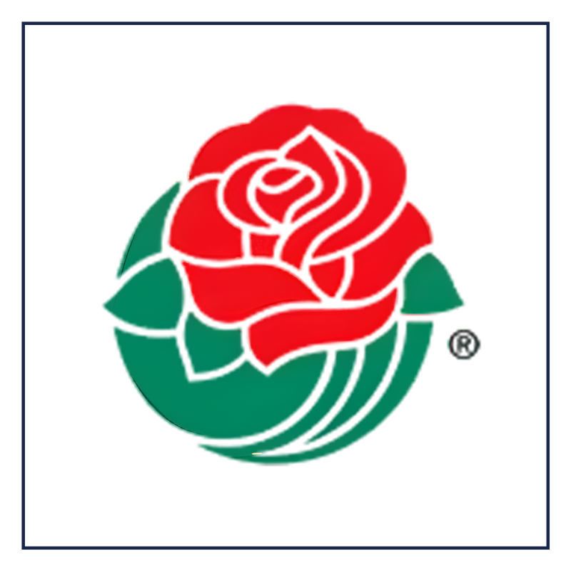 The Rose Parade-Dec-12-2025-08-31-37-1384-PM