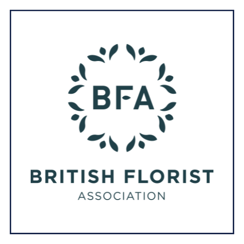 10-Dec-11-2025-02-33-36-4787-PM