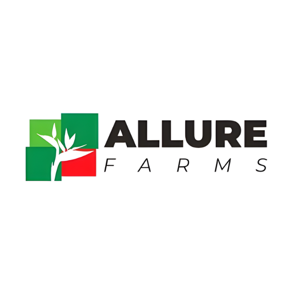 Blog Grid-Mar-12-2026-01-47-00-9723-PM Blog Grid-Mar-12-2026-01-47-00-9723-PM