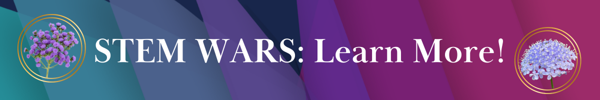 Link in Bio-Feb-17-2026-08-33-36-8639-PM