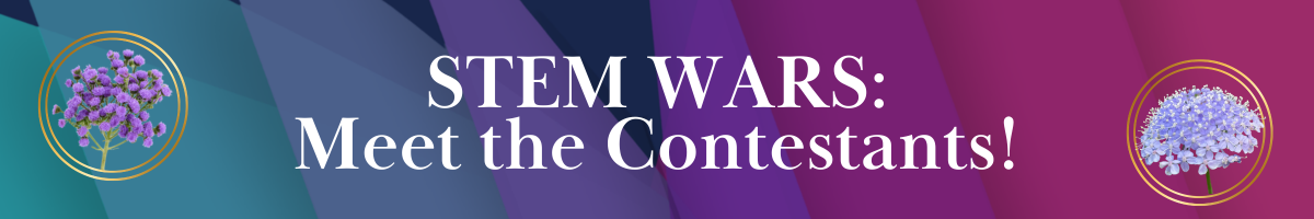 Link in Bio-Mar-19-2026-04-18-25-0251-PM