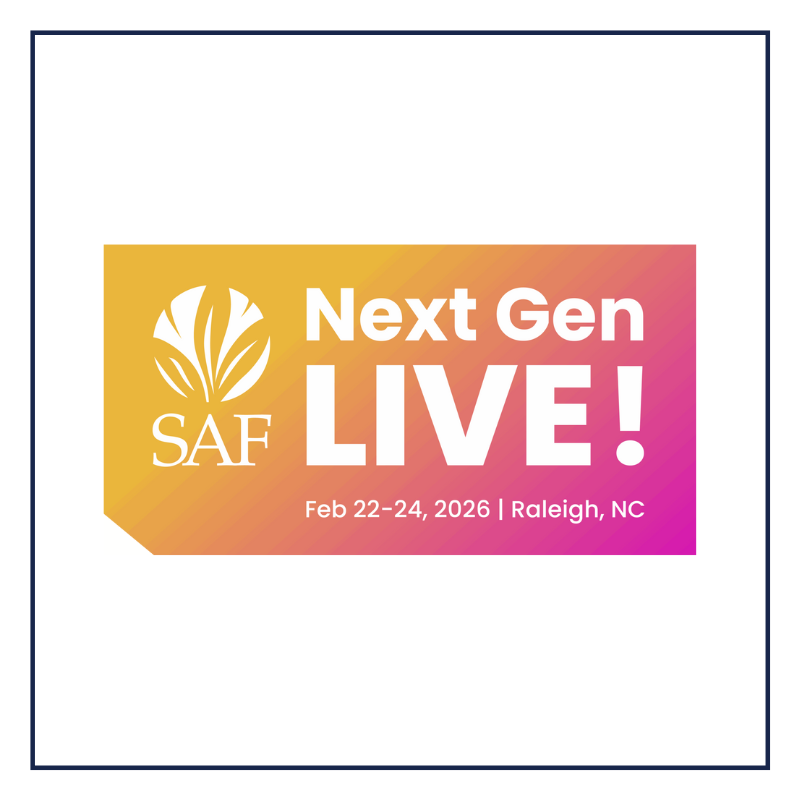 The Rose Parade (5)-1