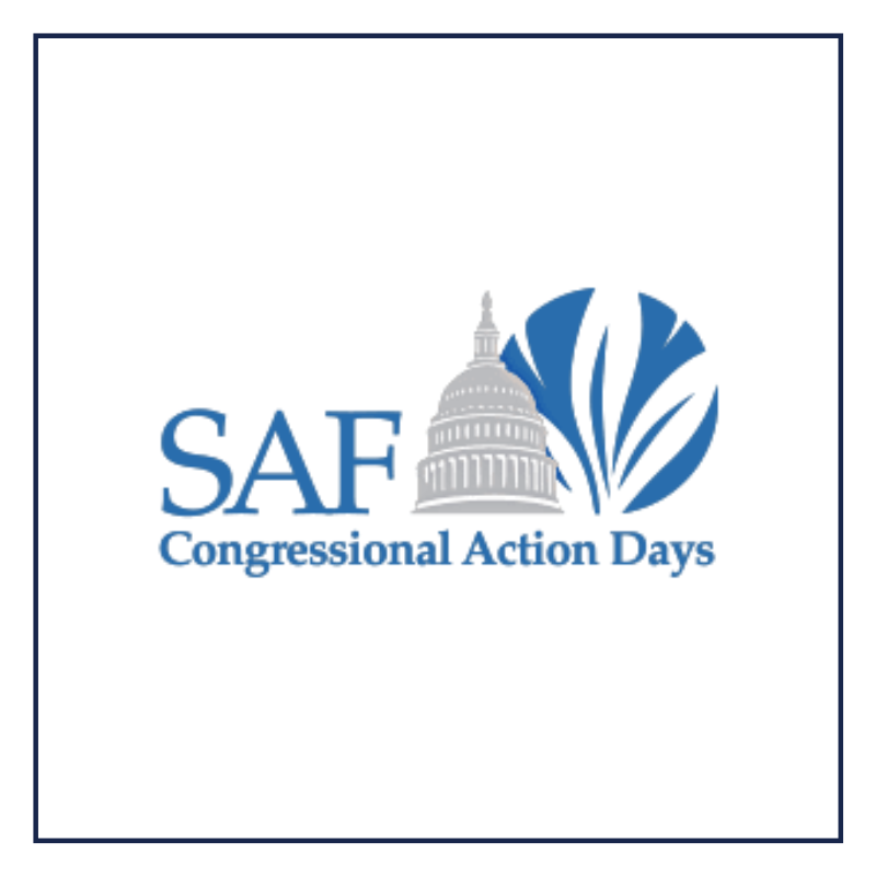 The Rose Parade (8)-1