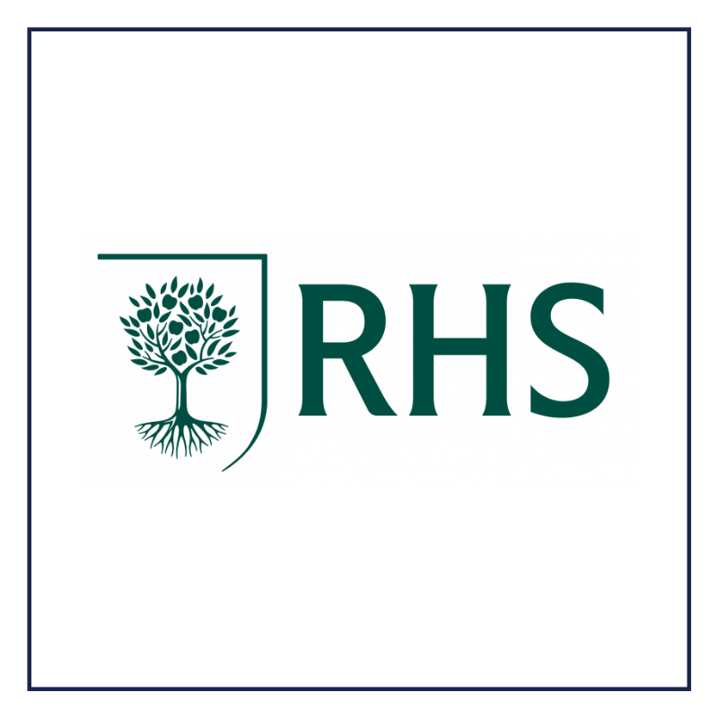 The Rose Parade (9)-1