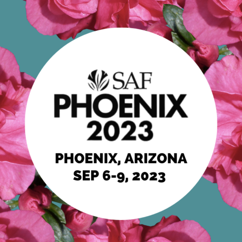 saf13
